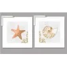 Cuadros: estrella de mar y caracola Arte y decoración Cuadros para el baño 